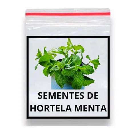 Hortelã Mentha x piperita 1000 Sementes