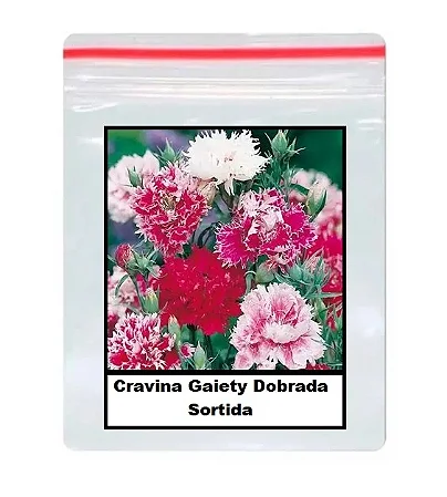 Sementes de Cravina Gaiety Dobrada Sortida 100 unidades