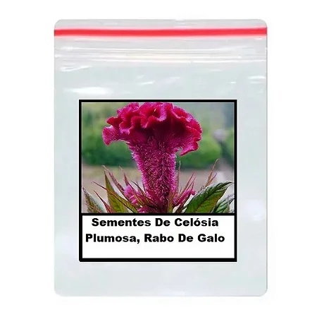 Sementes De Celósia Plumosa, Rabo De Galo 100 unidades