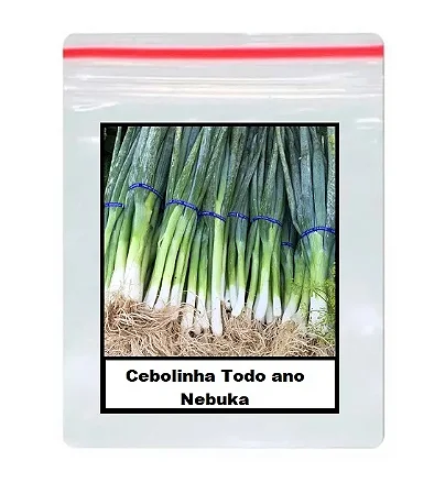 Sementes De Cebolinha Todo ano Nebuka 100 unidades