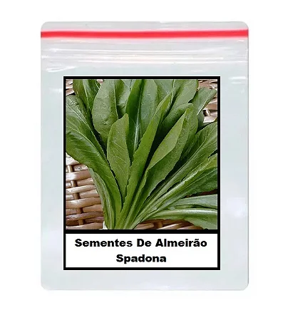 Sementes De Almeirão Spadona 100 unidades