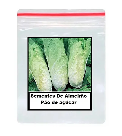 Sementes De Almeirão Pão de açúcar 100 unidades