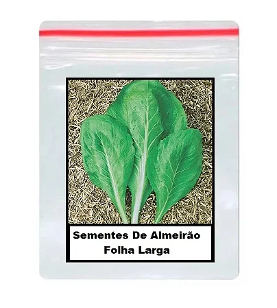 Sementes De Almeirão Folha Larga 100 unidades