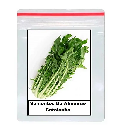 Sementes De almeirão catalonha 100 unidades