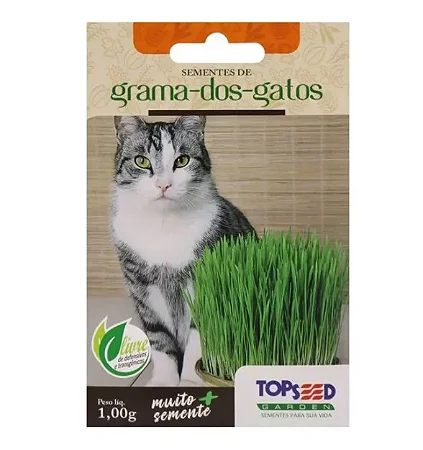Grama dos gatos 1.000 sementes