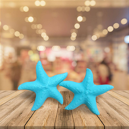 Brinco estrela do mar