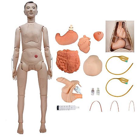 MANEQUIM ADULTO BISSEXUAL, C/ORGAOS INTERNOS P/TREINO DE ENFERMAGEM