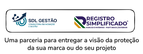 Laudo de Propriedade Intelectual