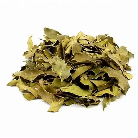 Espinheira Santa Folha & Talo 50g – Proteção Natural para o Estômago, Azia e Gastrite
