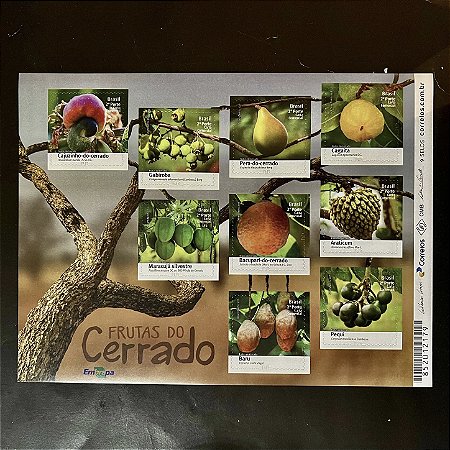 Bloco de Selos Comemorativos do Brasil - Frutas do Cerrado - 2016 - Mint - ref.806