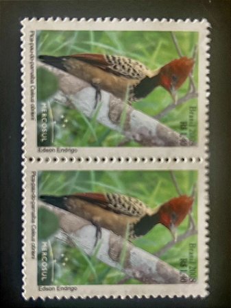 Selos do Brasil - Pica pau do Parnaiba - 2008 - Mint - ref.27