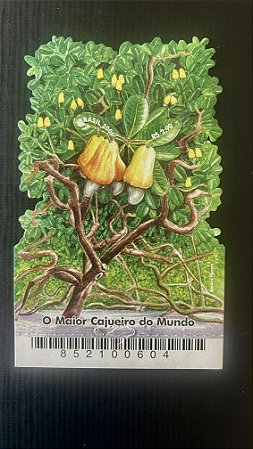 Bloco de Selos do Brasil - o Maior Cajueiro do Mundo - 2006 - Mint - ref.252