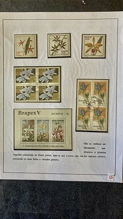 Folha de Exposição de Selos - Orquideas - com Protetores   (ref.422)