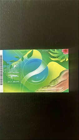 Bloco de Selos do Brasil - Presença Militar na Amazonia - 2000 - Mint - ref.580