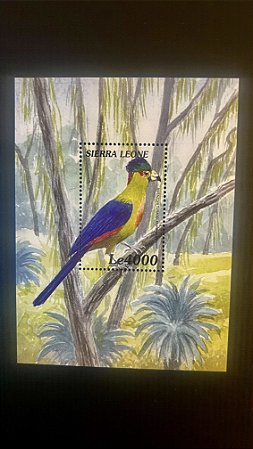 Bloco de Selos Estrangeiros - Republique du Niger - Tematicos - Aves - Mint - ref.659