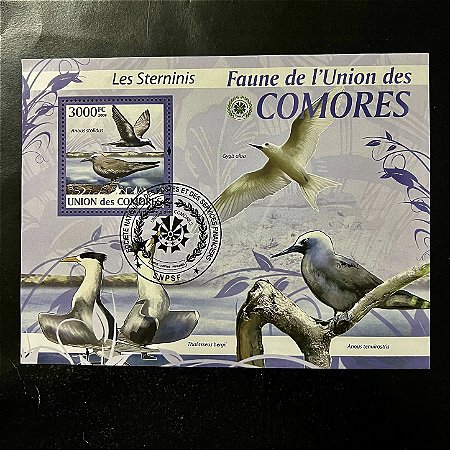 Bloco de Selos Estrangeiros - União das Comores - Faune I´Union des Comores - Aves Marinhas - 2009 - com carimbo - ref.943