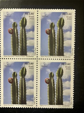 Quadra de Selos Comemorativos do Brasil - Serie Mercosul - Fauna e Flora Suculentas - 2022 - Mint - ref.2084