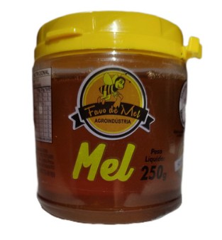 Mel Favo de Mel Agroindustria 250g
