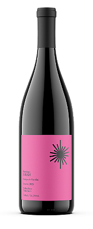 Protótipo Syrah Barricado 2025