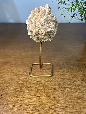Rosa do deserto (com pedestal)