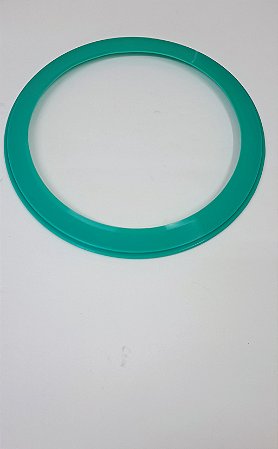 Anel De Vedação Biotron Digital 12/21 L - Verde