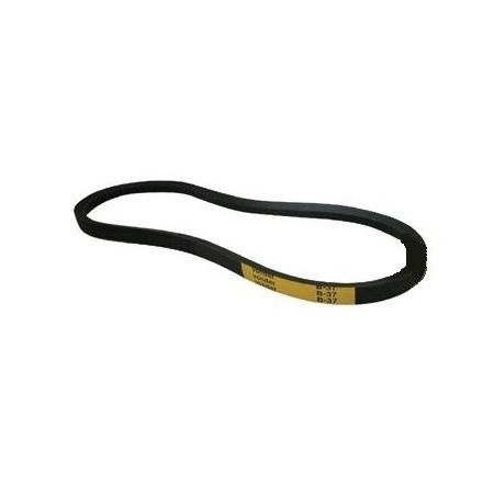 Correia para Stelo 246