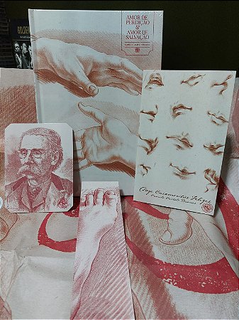 AMOR DE PERDIÇÃO/ AMOR DE SALVAÇÃO - CAMILO CASTELO BRANCO CLUBE DE LITERATURA CLÁSSICA