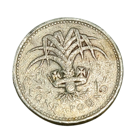 Moeda de 1 Libra (Pound) 1990 - Reino Unido