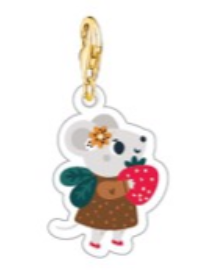 Charm ratinho