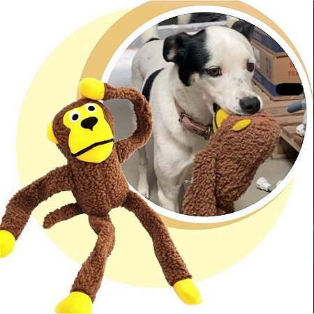 Brinquedo Macaco Pelúcia Grande Para Cachorro Pet Com Apito