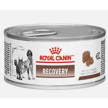 Royal Canin Recovery Cão e Gato 195g