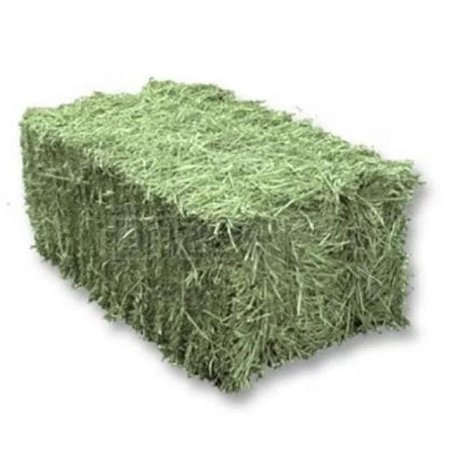 Feno Verdinho P/ Coelho e Porquinho da Índia de Excelente Qualidade A granel