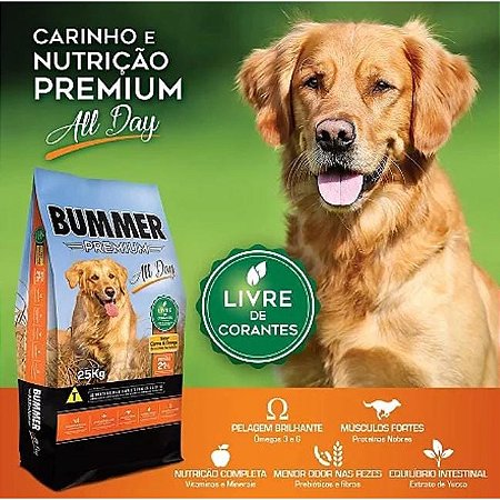 BUMMER ALLDAY 15KG