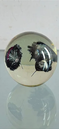 peso papel / bola murano (antiguidade / raridade / relíquia / antiquário)