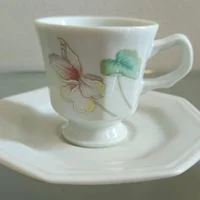 xícara de café em porcelana (antiguidade / raridade / relíquia / antiquário)