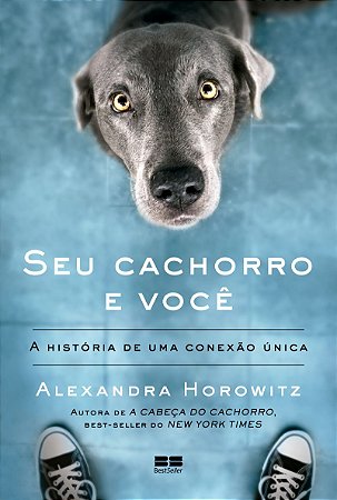 Seu cachorro e você: A história de uma conexão única