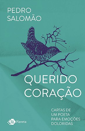 Querido coração: Cartas de um poeta para emoções doloridas