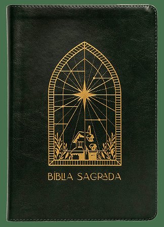 Bíblia A21 The Purpose Book, Letra tradicional, com espaço para anotação, Capa luxo Verde