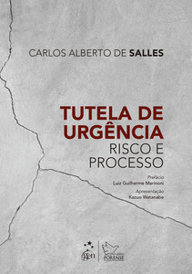 Tutela de urgência: risco e processo