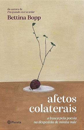 Afetos colaterais: A busca pela poesia na despedida de minha mãe