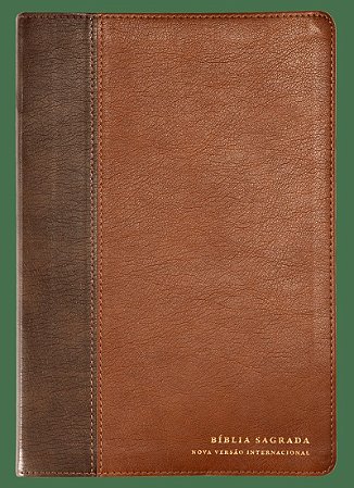 Bíblia NVI, Letra grande, Fonte Leitura Perfeita, com espaço para anotações, Capa luxo Marrom em dois tons