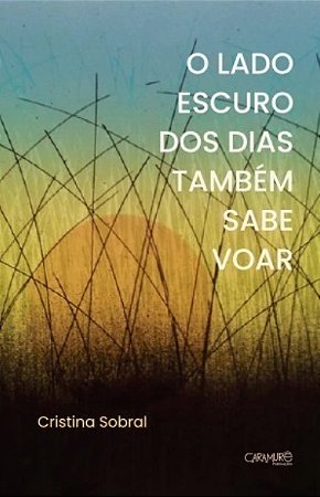 O lado escuro dos dias tambem sabe voar