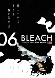 Bleach remix vol. 6