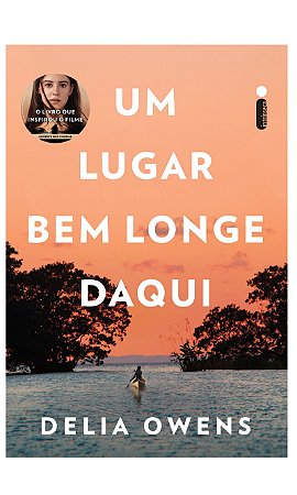 Um lugar bem longe daqui: O livro que inspirou o filme um lugar bem longe daqui