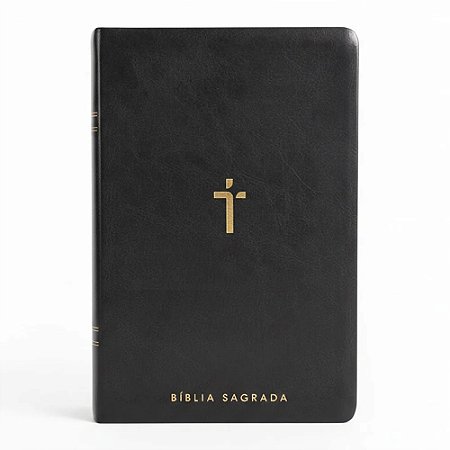 BIBLIA SAGRADA MAPAS MENTAIS NAA LETRA GIGANTE PRETO