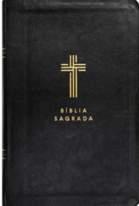 Bíblia Com Mapas Mentais - NVI - Letra Gigante - Preto