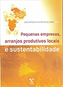 Pequenas empresas, arranjos produtivos locais e sustentabilidade