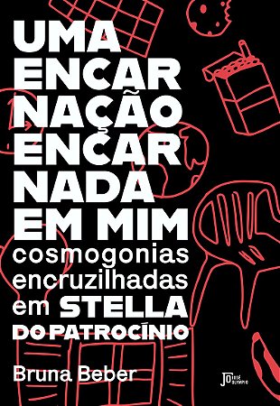 Uma encarnação encarnada em mim