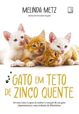 Gato em teto de zinco quente