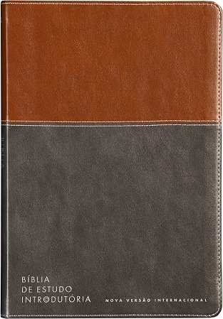 Bíblia de Estudo Introdutória NVI, Letra tradicional, Fonte Leitura Perfeita, Capa luxo Marrom e cinza chumbo